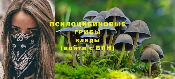 сатива Алексеевка
