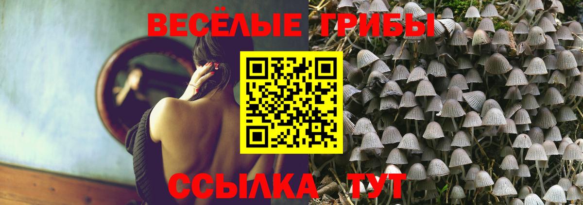 Апатиты  Псилоцибиновые грибы ЛСД  Вход с VPN 